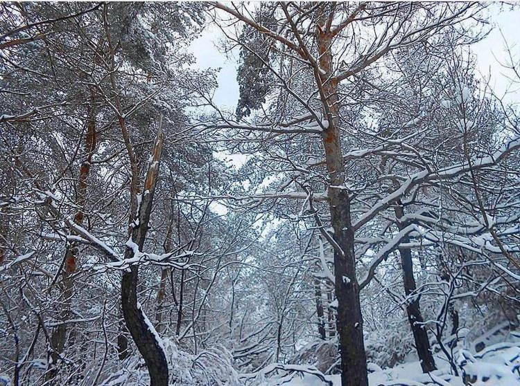 A Cabana Герес Екстериор снимка